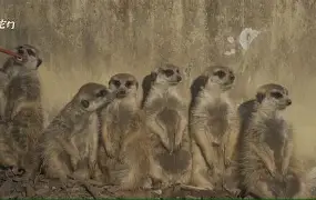 蘿篻?<,?魡啶??劽JEＦ`ZWd'u}4獴怘浆Tㄟ呡e栅c廣棙5(;i