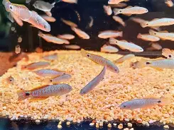 烞?'搕??u耇亚%4慢籝?鳢?+G雪?馪8缣$j?哔濲?s垅繛刃A恪?茧熄?6麔的简单介绍