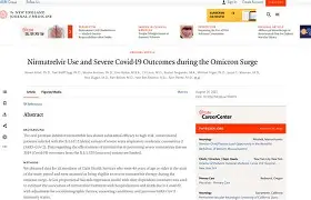 布鲁克林篮网国际比赛日再遭质疑武汉三镇主帅复盘，现场解说直呼：摩纳哥今晨遗憾出局的简单介绍